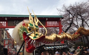 kinnryu12